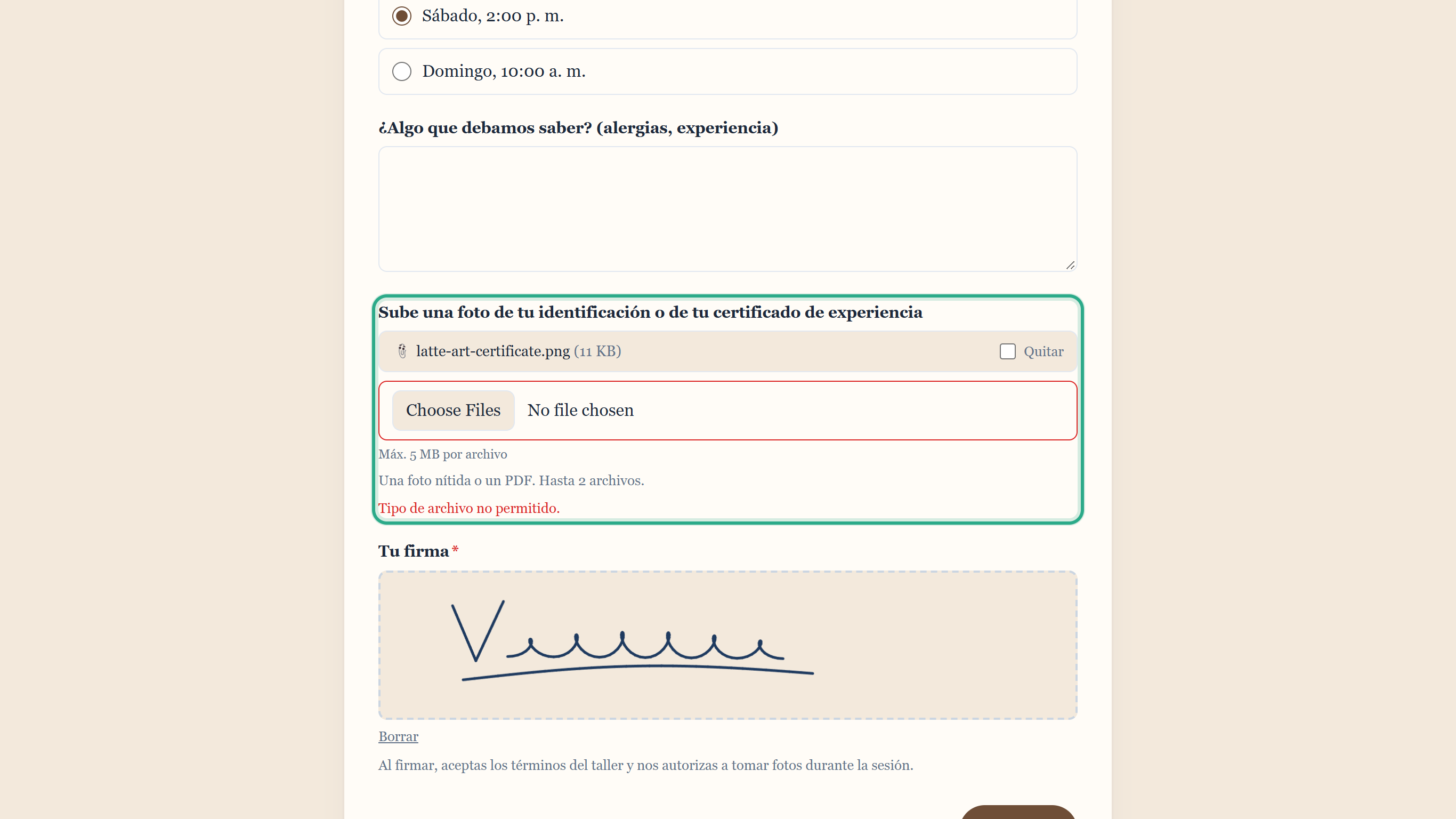 El campo para subir archivos resaltado con el mensaje en rojo Tipo de archivo no permitido.