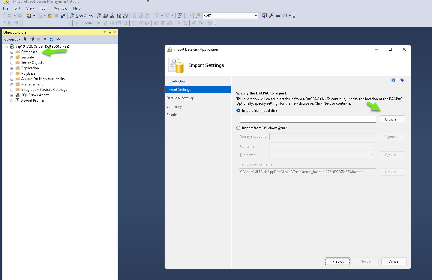 P4 Warehouse Database import in Microsoft SQL Server