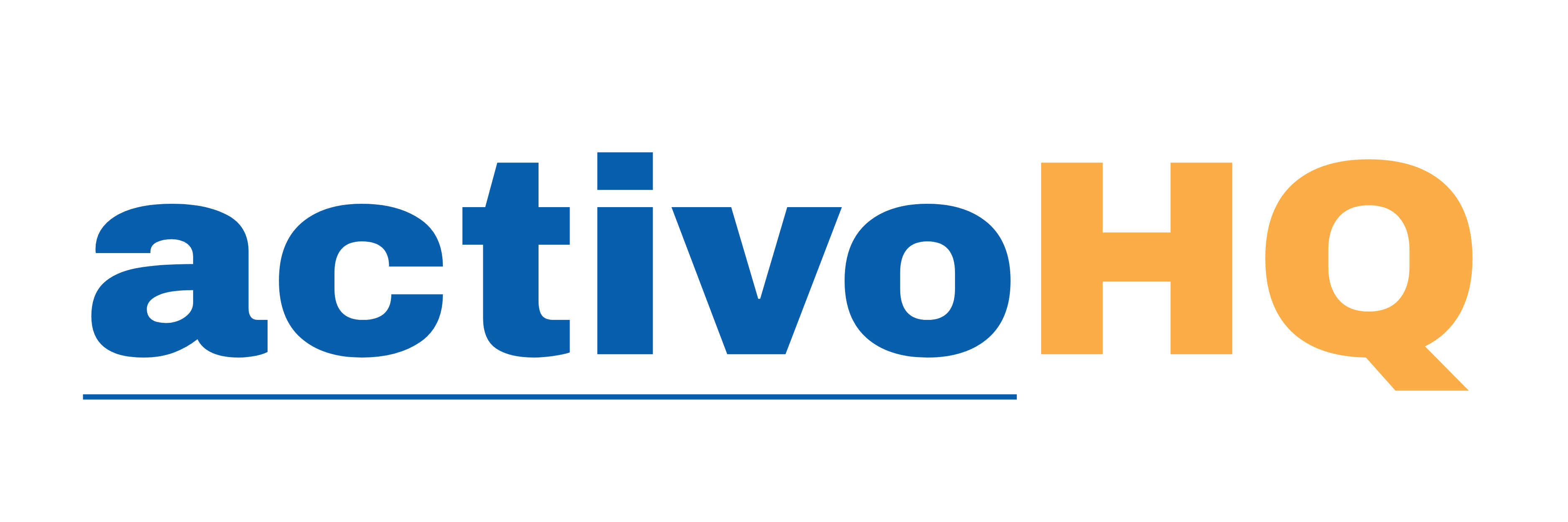 P4 Software