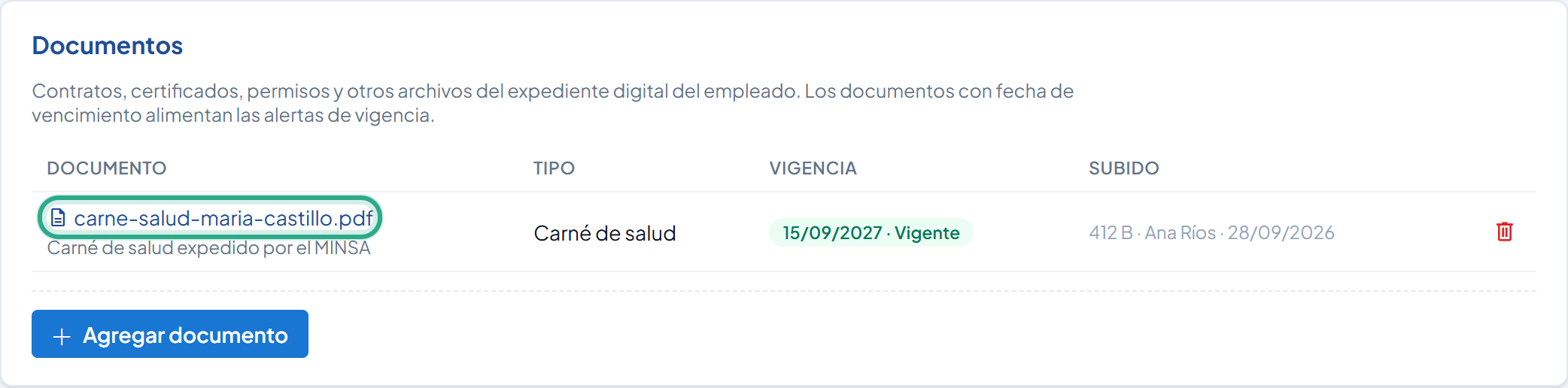 Nombre del archivo carne-salud-maria-castillo.pdf resaltado en la tarjeta Documentos