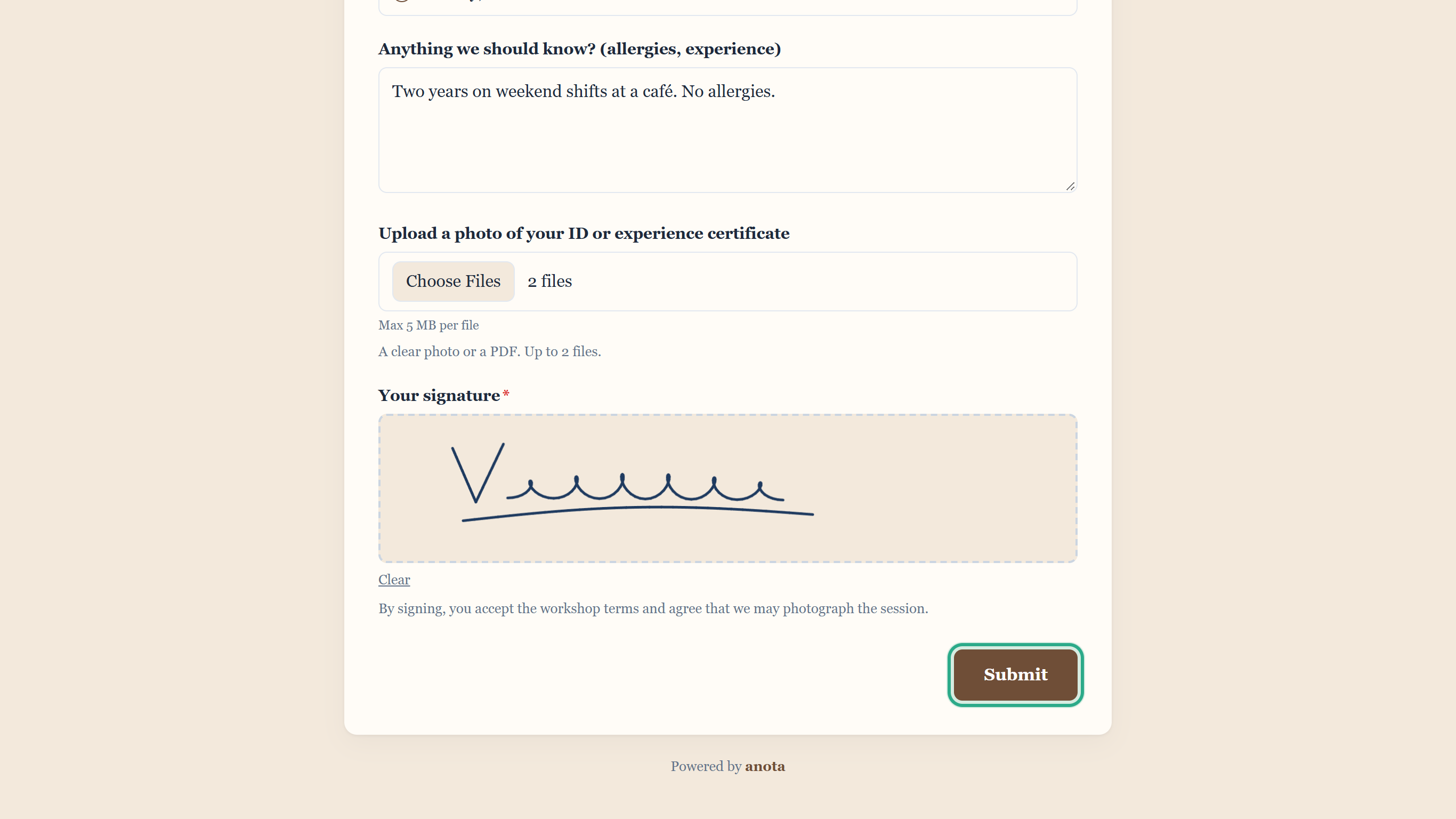 The Submit button at the bottom of the form outlined